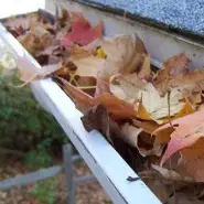 gutters full of leaves