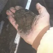 dirt in gutters